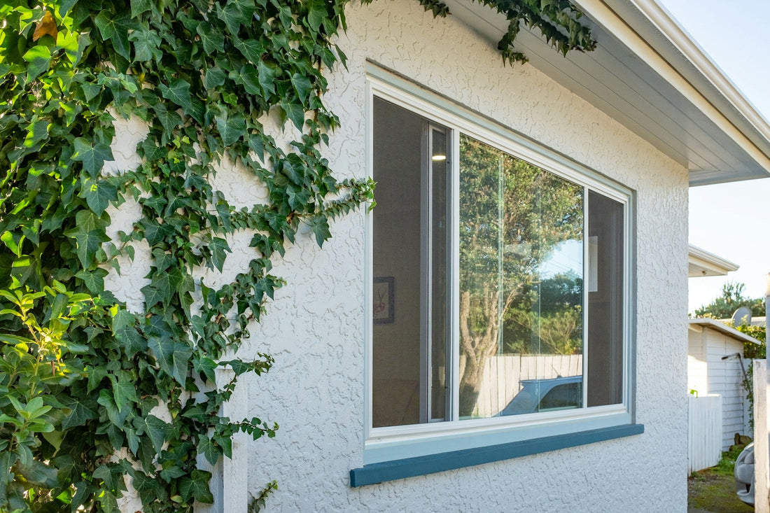 window replacement
